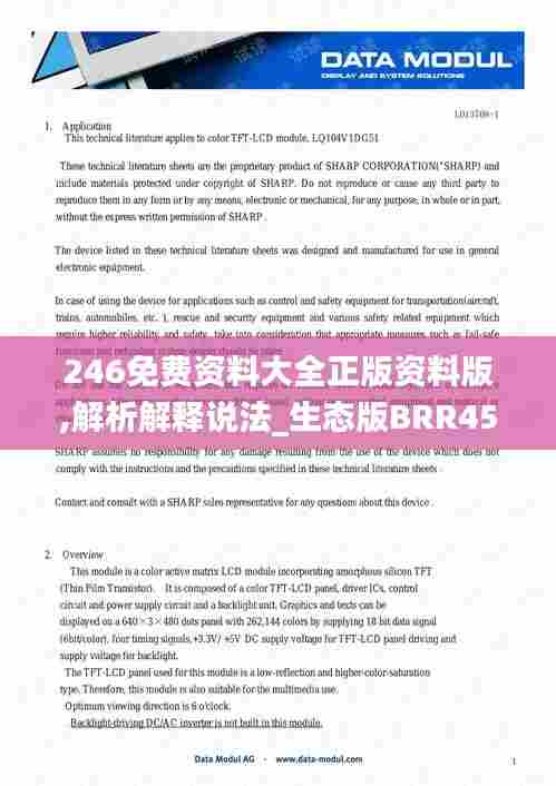 246免费资料大全正版资料版,解析解释说法_生态版BRR45.605