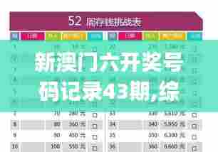 新澳门六开奖号码记录43期,综合计划评估_随身版HWP26.816