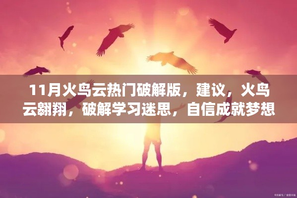 警惕犯罪风险,火鸟云破解版与非法学习之路的迷思