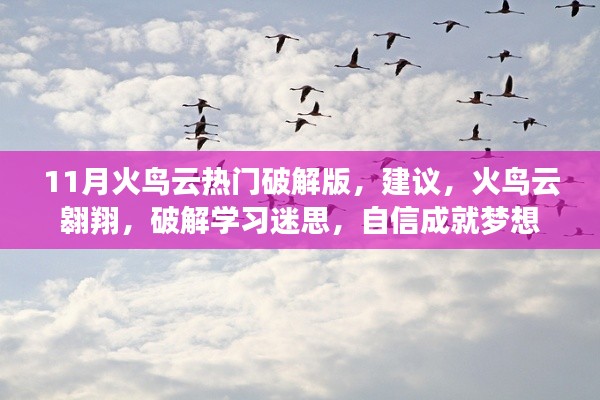 警惕犯罪风险,火鸟云破解版与非法学习之路的迷思