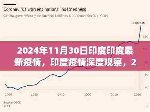 印度疫情深度观察,最新数据与趋势分析(截至2024年11月30日)