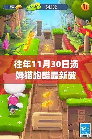 揭秘汤姆猫跑酷最新破解版,深度解析与警示案例分享