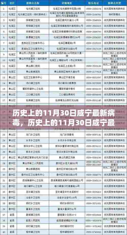 历史上的11月30日咸宁最新病毒深度探究与解析