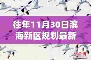 历年11月30日滨海新区的规划回顾与展望,最新动态与消息速递