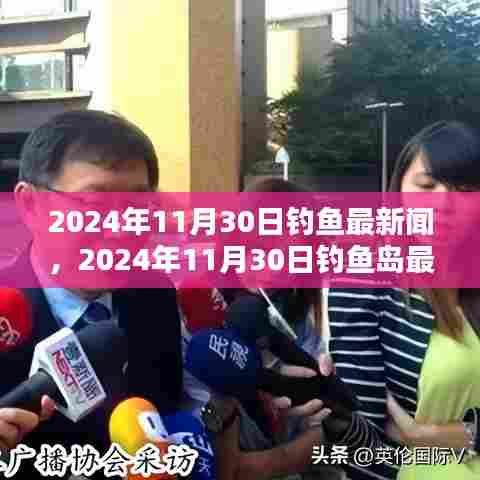 钓鱼岛最新动态及观点探析,2024年11月30日深度报道