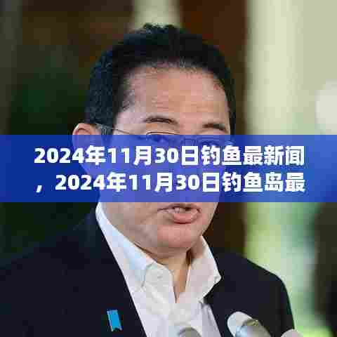 钓鱼岛最新动态及观点探析,2024年11月30日深度报道