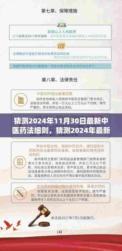 深度解读与未来展望,预测2024年中医药法最新细则及发展趋势分析