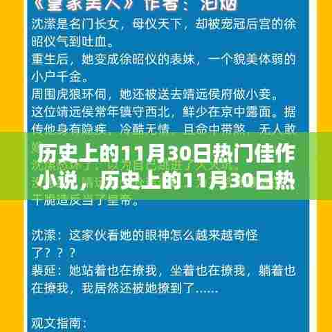 历史上的11月30日热门佳作小说深度解读与全景测评