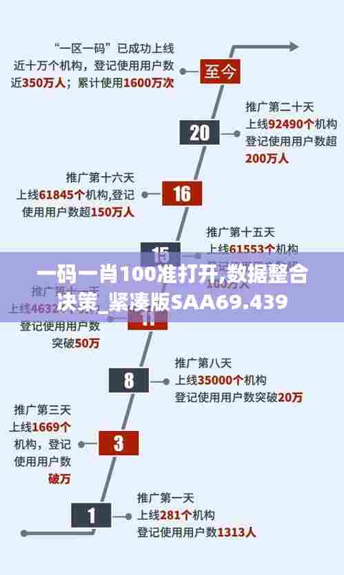 一码一肖100准打开,数据整合决策_紧凑版SAA69.439