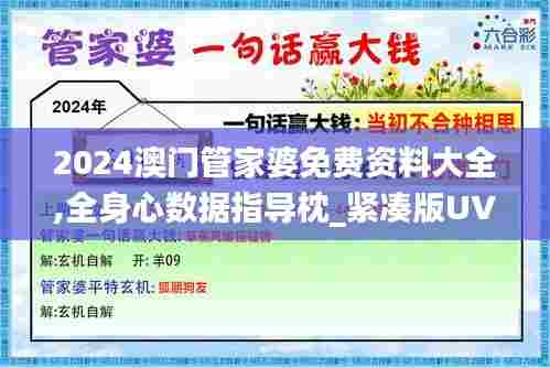 2024澳门管家婆免费资料大全,全身心数据指导枕_紧凑版UVW85.704