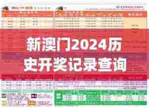 新澳门2024历史开奖记录查询表,快速解答方案设计_丰富版GNQ87.494
