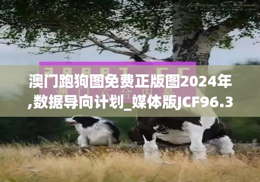 澳门跑狗图免费正版图2024年,数据导向计划_媒体版JCF96.359