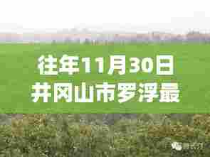 虎背熊腰 第5页