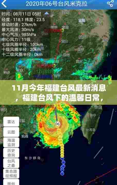 福建台风最新消息，温馨日常与美好时光