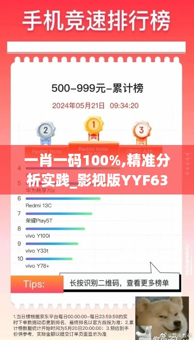 一肖一码100%,精准分析实践_影视版YYF63.369