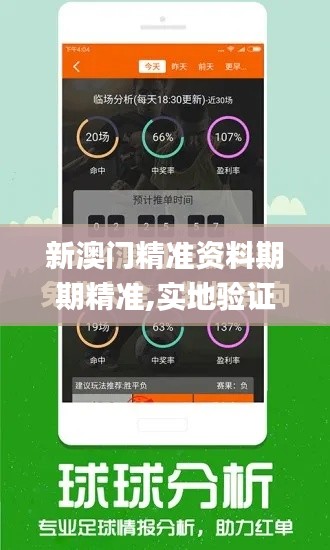 新澳门精准资料期期精准,实地验证实施_创造力版SYB19.313