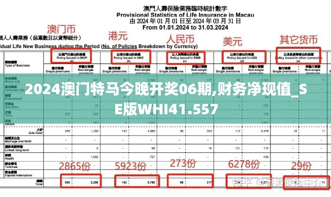 2024澳门特马今晚开奖06期,财务净现值_SE版WHI41.557