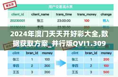 2024年澳门天天开好彩大全,数据获取方案_并行版QVI1.309