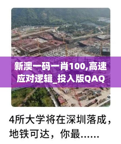 新澳一码一肖100,高速应对逻辑_投入版QAQ92.282