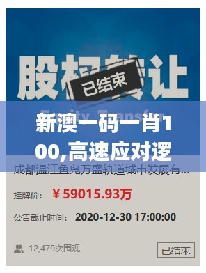 新澳一码一肖100,高速应对逻辑_投入版QAQ92.282