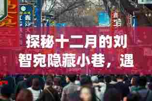 探秘刘智宛十二月隐藏小巷的特色小店惊喜