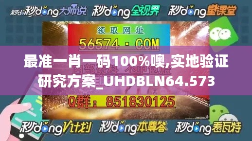 最准一肖一码100%噢,实地验证研究方案_UHDBLN64.573