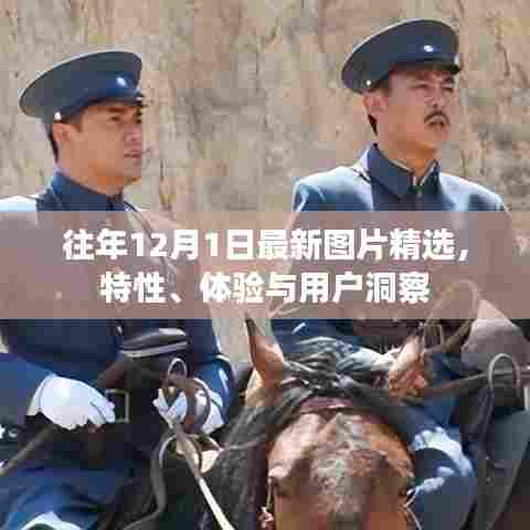 往年12月1日精选图片回顾,特性、体验与用户洞察总结报告