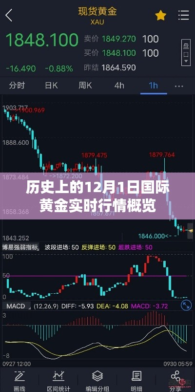历史上的黄金行情概览,揭秘黄金市场风云变幻的12月1日实时行情
