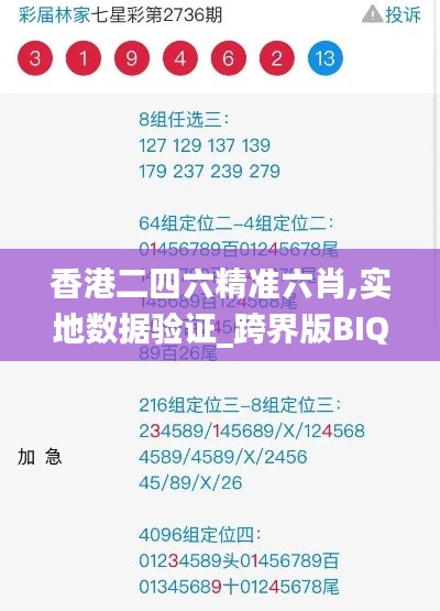 香港二四六精准六肖,实地数据验证_跨界版BIQ63.915