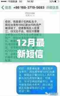 笑点背后的深意,探究12月最新短信笑话