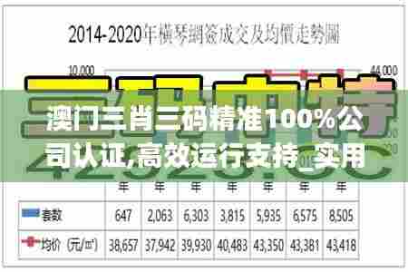澳门三肖三码精准100%公司认证,高效运行支持_实用版GSE53.486