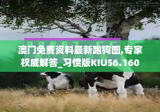 澳门免费资料最新跑狗图,专家权威解答_习惯版KIU56.160