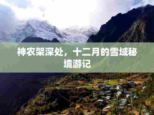 神农架雪域秘境,十二月深处的探秘之旅