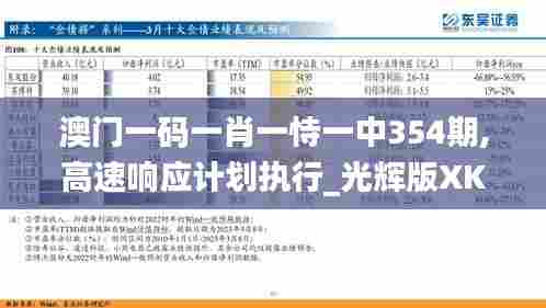 澳门一码一肖一恃一中354期,高速响应计划执行_光辉版XKX97.257