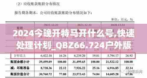 2024今晚开特马开什么号,快速处理计划_QBZ66.724户外版