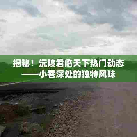 揭秘沅陵君临天下热门动态,小巷深处的独特风味探索