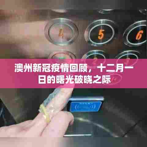 斫琱为朴 第4页