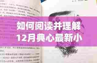 阅读指南,如何深度解读12月典心最新小说2016学习手册