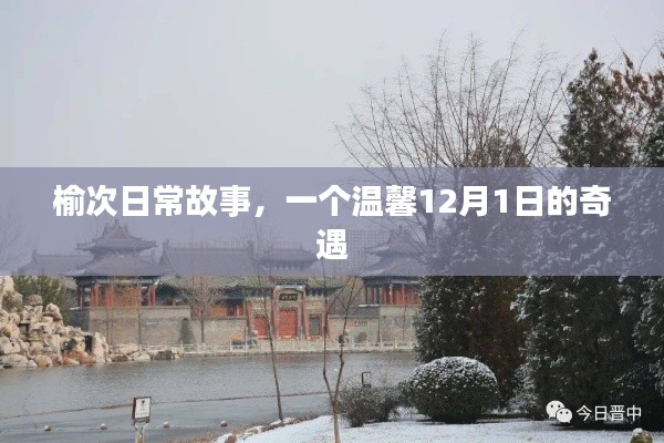 榆次温馨奇遇,12月1日的日常故事