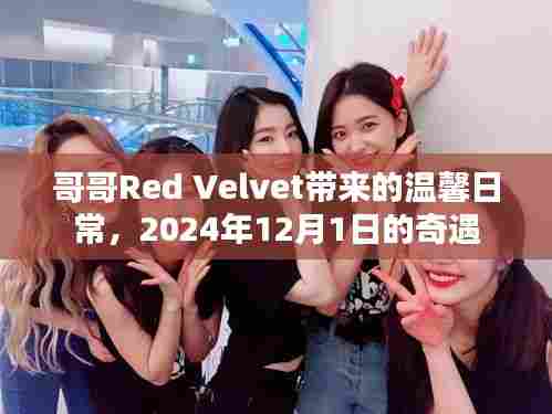 哥哥Red Velvet的温馨日常与奇遇,2024年12月1日的特别时光