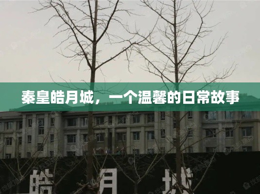 秦皇皓月城,温馨日常故事