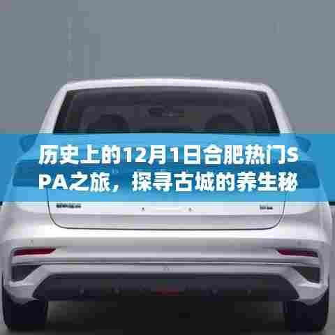 合肥SPA之旅,探寻古城养生秘境,历史上的十二月一日之旅🌿
