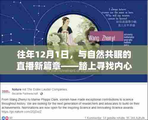 往年12月1日,与自然共眠的直播新篇章——探寻内心宁静之旅