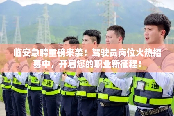 临安急聘!驾驶员岗位火热招募,启程职业新征程