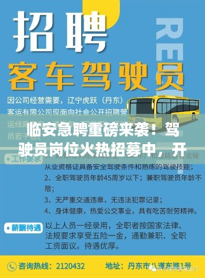 临安急聘!驾驶员岗位火热招募,启程职业新征程