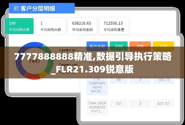 7777888888精准,数据引导执行策略_FLR21.309锐意版