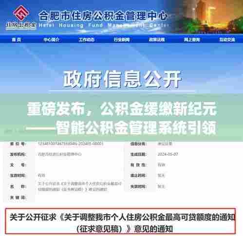 公积金新纪元，智能管理系统引领未来生活篇章，缓缴政策重磅发布