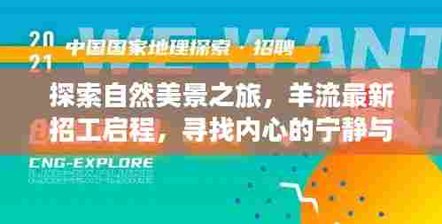 羊流最新招工启航,探索自然美景之旅,寻找心灵宁静与平和的旅程