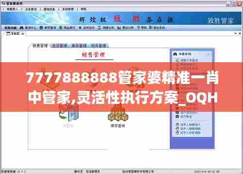 7777888888管家婆精准一肖中管家,灵活性执行方案_OQH38.742广播版