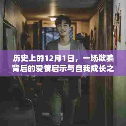 欺骗背后的爱情启示与自我成长之旅,历史上的12月1日回顾